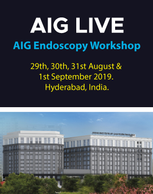 AIG Endoscopy Workshop 2019
