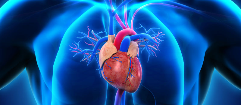 Managing cardiovascular risk in young adults